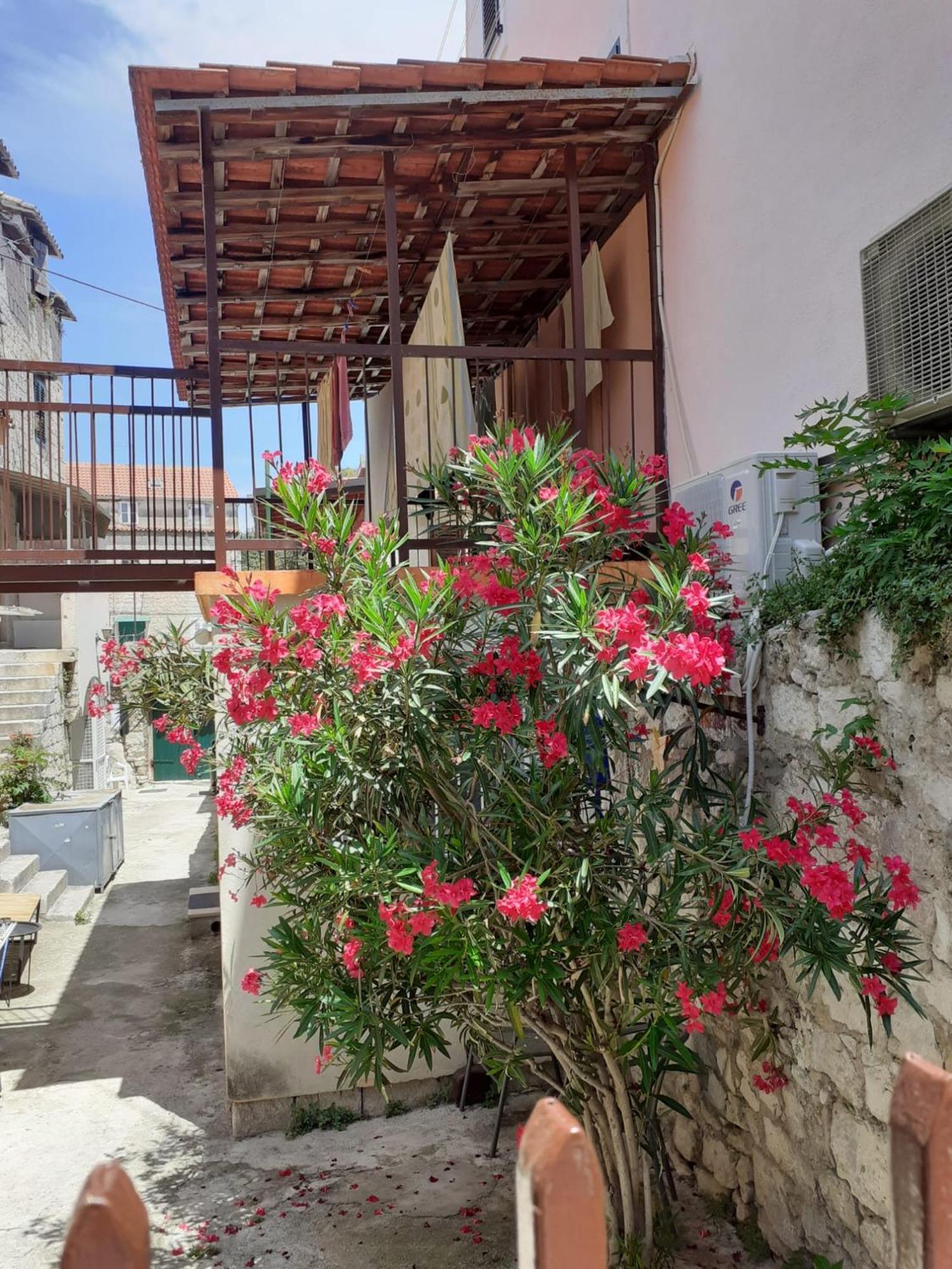 Oleander Apartments Split Buitenkant foto